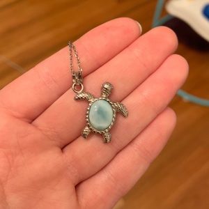 Turtle necklace from the Dominican Republic